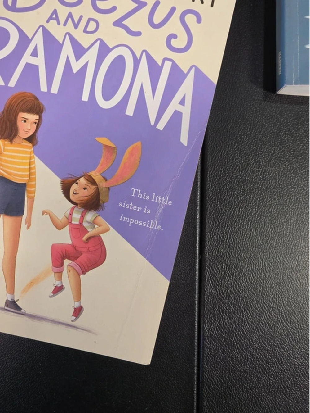 Ramona bundle - Picture 3 of 6